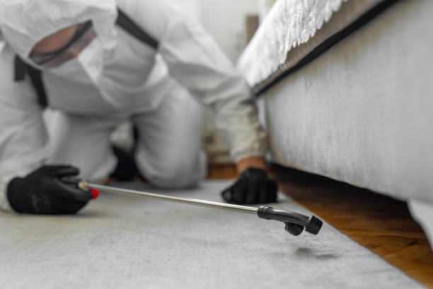 Professional Bed Bug Control technician working in Elmont, NY